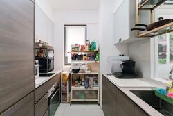The Florence Residences (D19), Apartment #616550521
